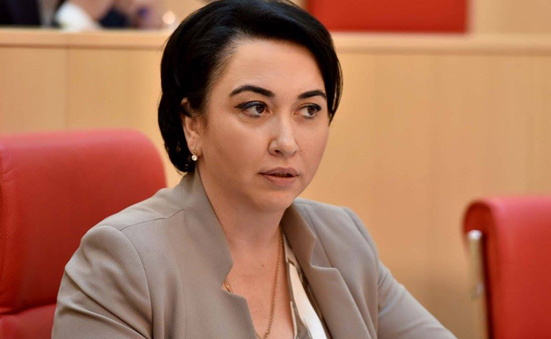 კობახიძე მისი შავი საქმიანობის გამო ანერვიულდა - ბესელიას პასუხი კობახიძის ბრალდებებზე