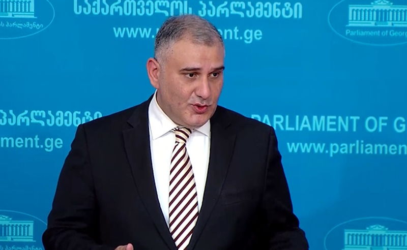 "ცუდად ჯდომას, ცუდად შრომა ჯობიაო" - სარჯველაძე ოპოზიციას "კაცია ადამიანის" დარეჯანს ადარებს 