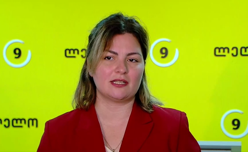 "ოცნება" ევროპარლამენტარებთან შეხვედრის წინ ნაზი და ფუნჩულა ხდება - ნაცვლიშვილი