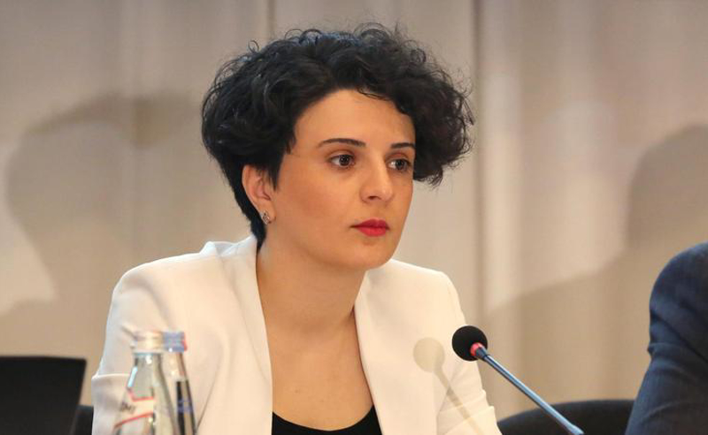 "საშიშები ხდებიან ქვეყნისთვის და ამ ქვეყნის მოქალაქეებისთვის" - მეზვრიშვილი კობახიძსი საქციელს აფასებს