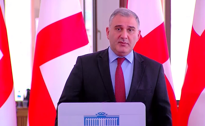 კობახიძის განცხადებები კრიტიკული არ იყო -  სარჯველაძე "ოცნების" ლიდერს იცავს