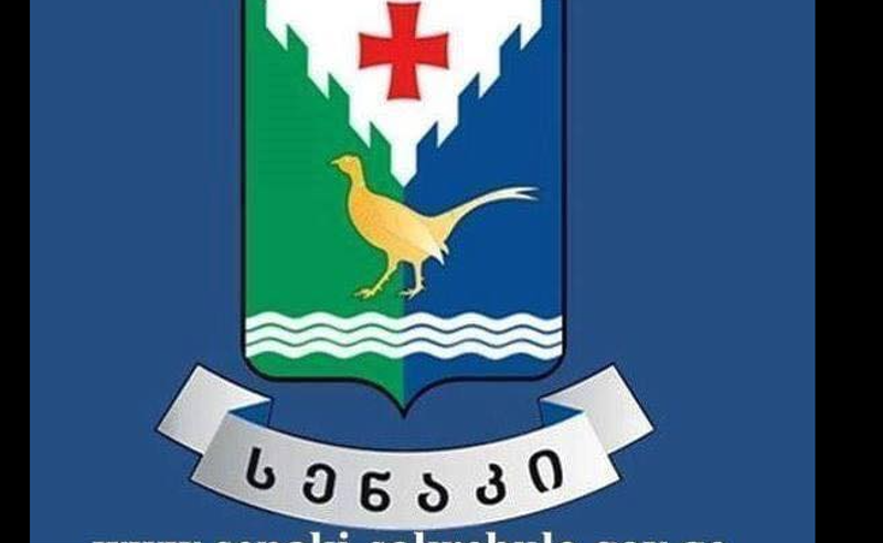 საია სასამართლოს მოუწოდებს, სენაკში არჩევნების დანიშვნის განკარგულება ბათილად ცნოს