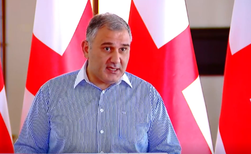 გოგაშვილი მოტივირებულია, რომ ხელისუფლებას რაც შეიძლება მეტი ზიანი მიაყენოს - სარჯველაძე