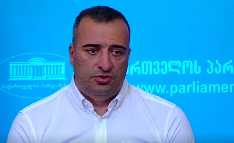 "უსამშობლო პოლიტიკოსების გაერთიანება" - ენმ-ს თავს ამჯერად იონათამიშვილი ესხმის