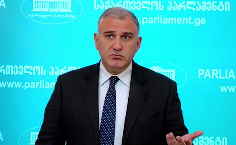 ვენეციის კომისიას, კანონპროექტის საწინააღმდეგო რაიმე წონადი არგუმენტი არ წარმოუდგენია - სარჯველაძე
