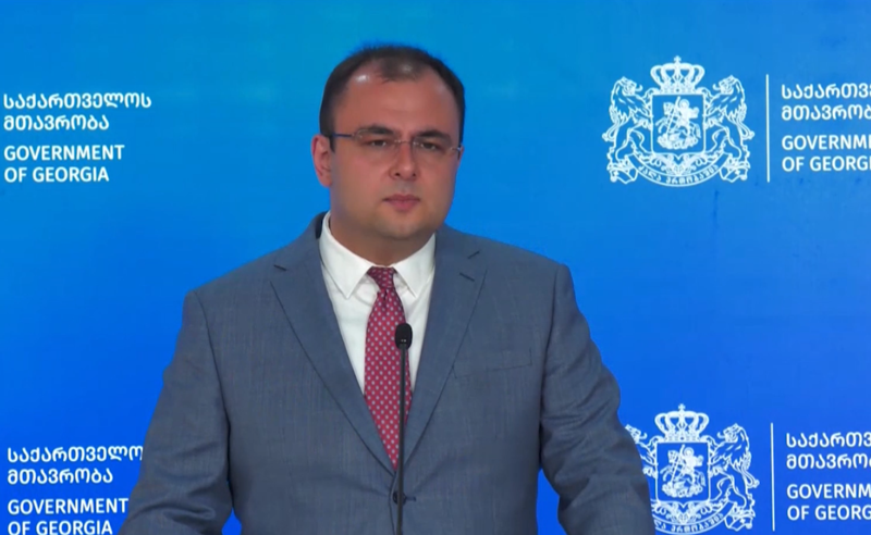 როგორიც არ უნდა იყოს დასკვნა, სასჯელის გადავადებაზე გადაწყვეტილებას იღებს სასამართლო - რატი ბრეგაძე