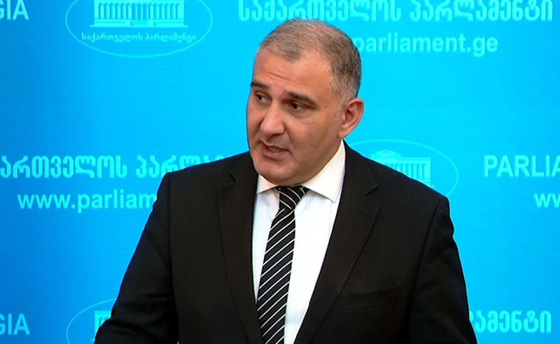არავის უნდა ჰქონდეს შესაძლებლობა, გადაწყვეტილება გვიკარნახოს - სარჯველაძე ომბუცმენის არჩევაზე
