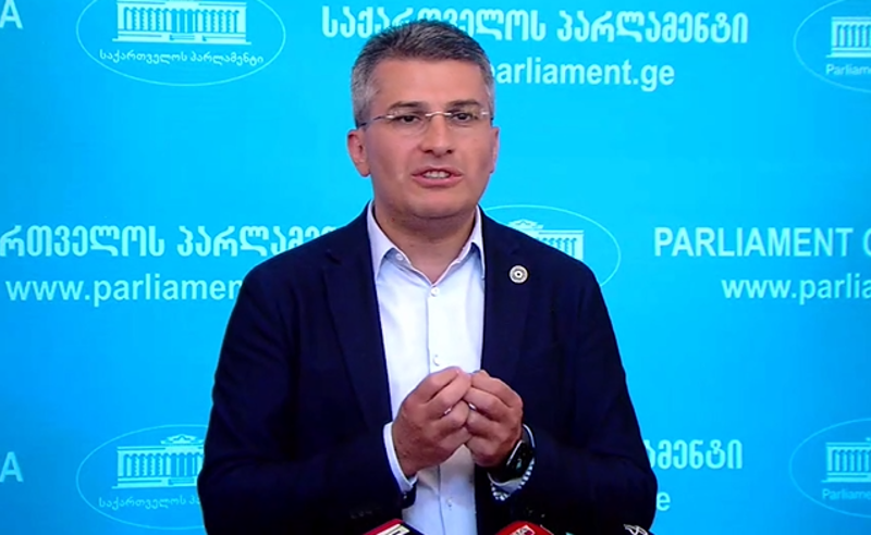 საკანონმდებლო ცვლილებებს არ გამოვრიცხავთ - მდინარაძე სახალხო დამცველის შერჩევაზე