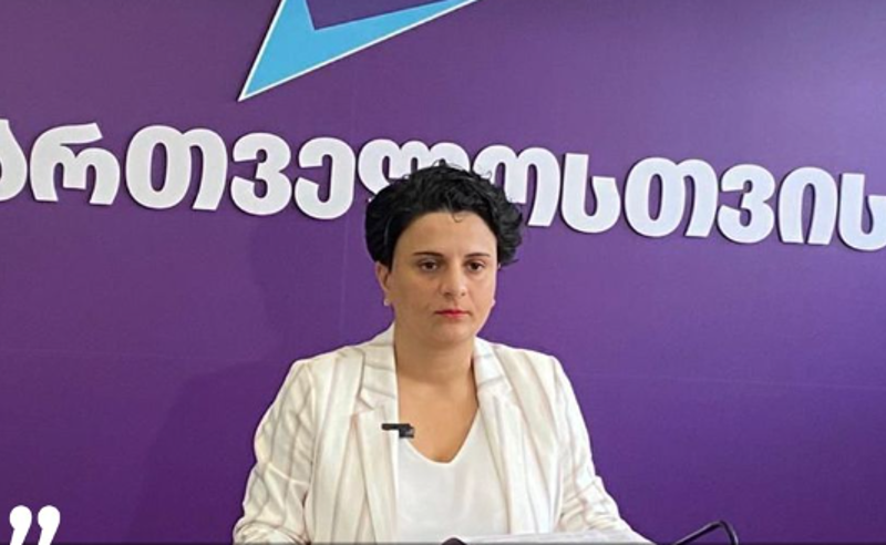 "ოცნება" არ დგამს არსებით ნაბიჯებს 12 პუნქტის რეალურად შესასრულებლად" - ნათია მეზვრიშვილის განცხადება