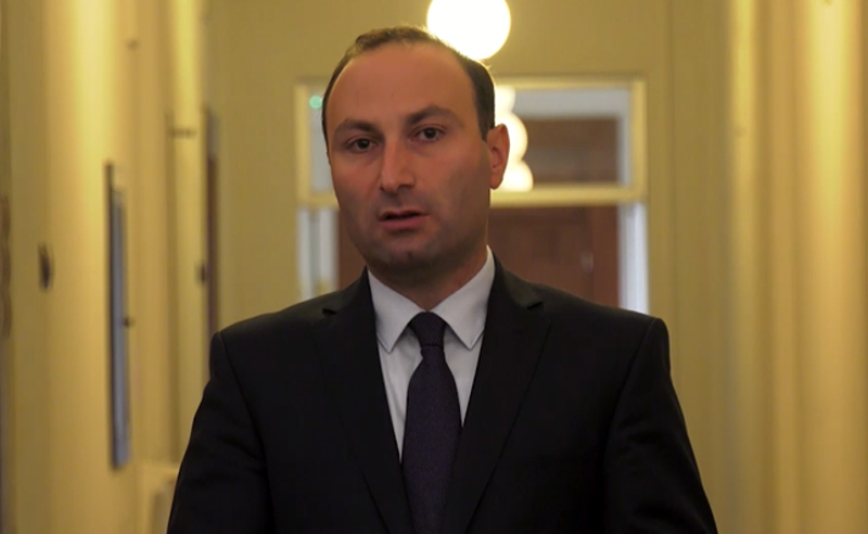 ბორელის განცხადებები წითელი ბარათის ჩვენება იყო ოპოზიციისთვის - ოხანაშვილი