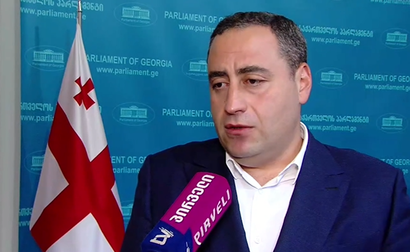 მინდა მადლობა ვუთხრა ამ ადამიანს, რომ რეჟიმს ამხელს - ვაშაძე გოგაშვილის წერილზე