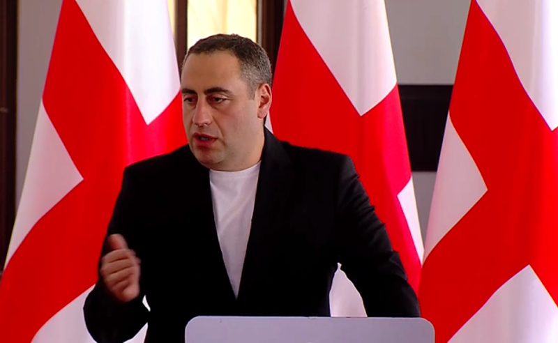"ნატო-მ გვითხრა მატარებელი დაძრულია, თქვენ ან მოასწრებთ ამ მატარებელში ჩაჯდომას, ან..." - ვაშაძე