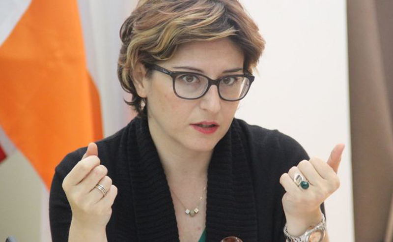  კანონის კოპირება, ქვეყნის კულტურის და გამოცდილების გათვალისწინების გარეშე, სწორი არ არის - სამნიძე