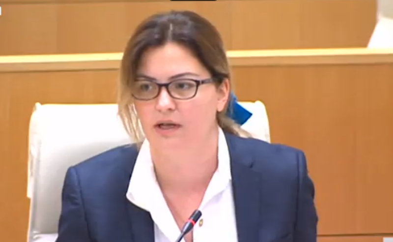 ქვეყანაში ეკონომიკური ზრდა არ არსებობს - ანა ნაცვლიშვილი ეკონომიკის მინისტრს სიცრუეში ადანაშაულებს