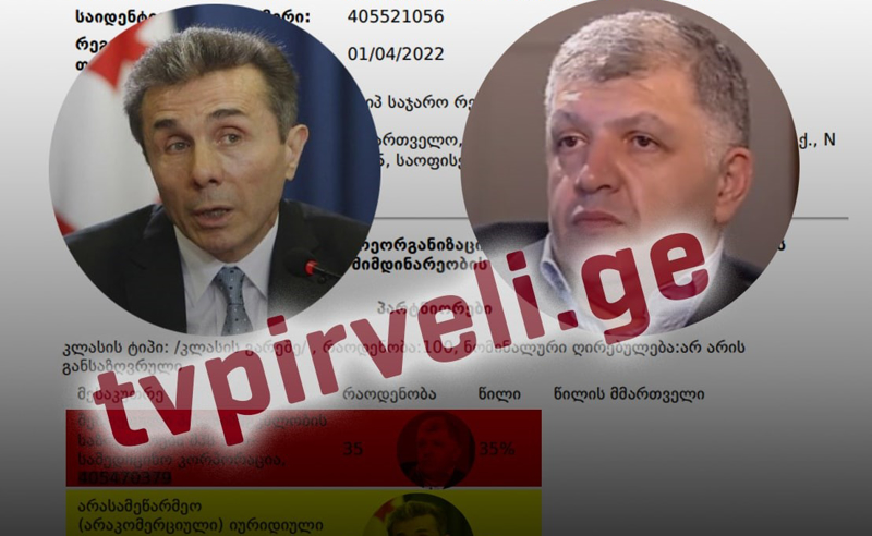 ბიძინა ივანიშვილი და პრორუსი ბიზნესმენი, დავით ხიდაშელი, ოფიციალური ბიზნესპარტნიორები გახდნენ