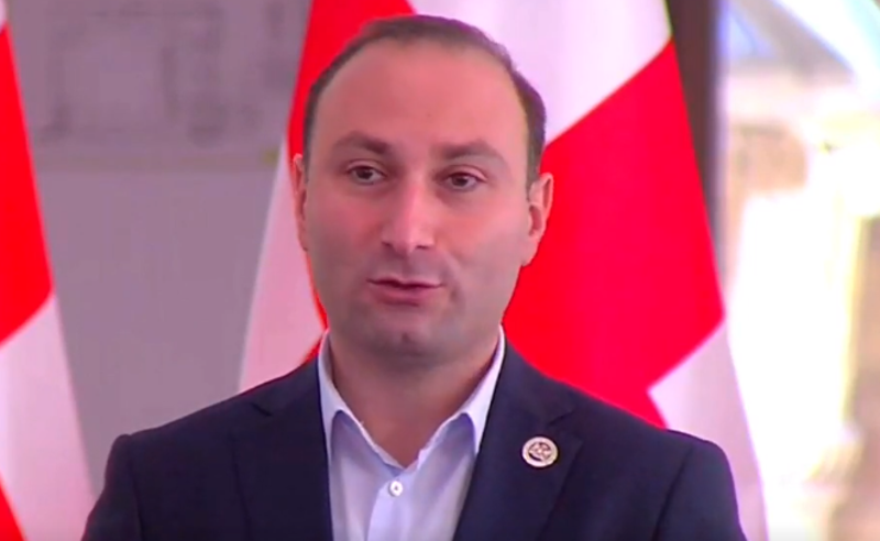 თუ პარტნიორები, ვენეციის კომისია, ოპოზიცია იტყვიან, არ გვინდა, დეოლიგარქიზაციის კანონს არ მივიღებთ - ოხანაშვილი