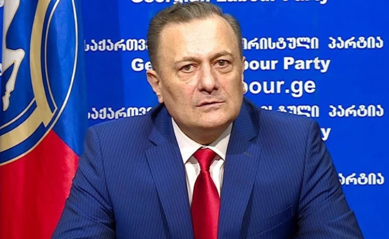 ივანიშვილ-კალაძის ბანდამ მილიონების კეთებაში ბავშვთა სასაკლაო მოაწყვეს - ნათელაშვილი