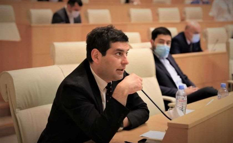 ბარბარე რაფალიანცის მკვლელობა ასე უაპელაციოდ ვინც დაგაბრალათ, თქვა დიდი სისულელე - დავითულიანი ოპოზიციას