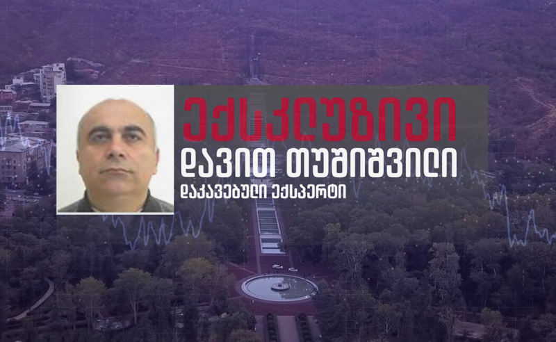 ექსკლუზივი: "ცდილობენ ჩვენ შემოგვტენონ" - ვაკის პარკის საქმეზე დაკავებული ექსპერტის სკანდალური ჩანაწერი