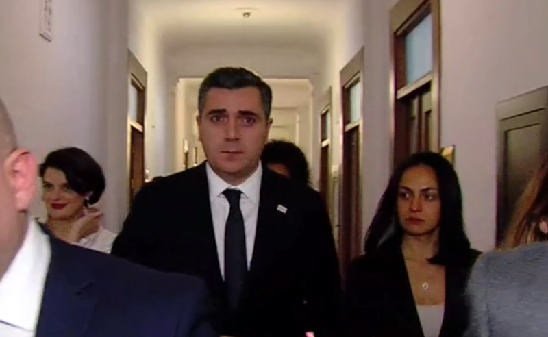  საგარეო საქმეთა მინისტრი ივანიშვილის ოჯახის დასანქცირებაზე დასმულ არც ერთ კითხვას არ პასუხობს