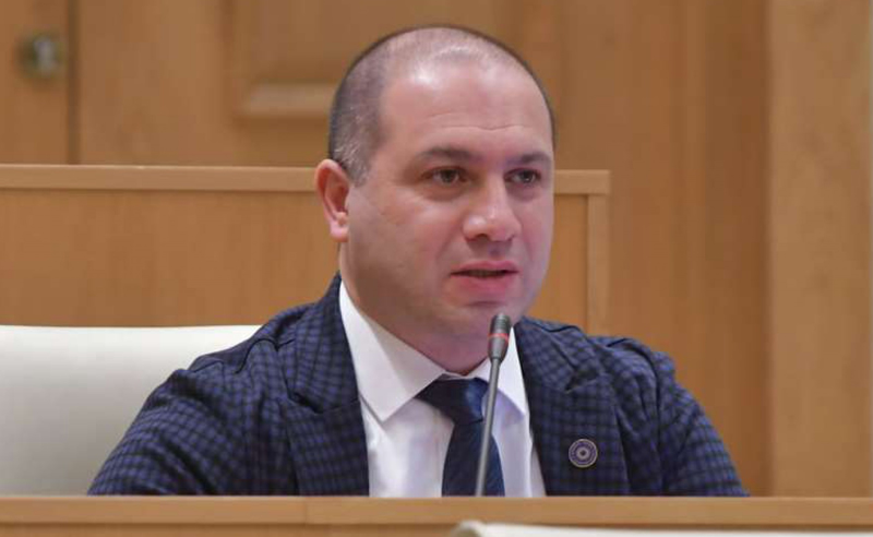,,სიტყვა კლანი აბსურდულია. ეს არის ხელოვნურად შექმნილი მითი და მოგონილი" - მიქანაძე