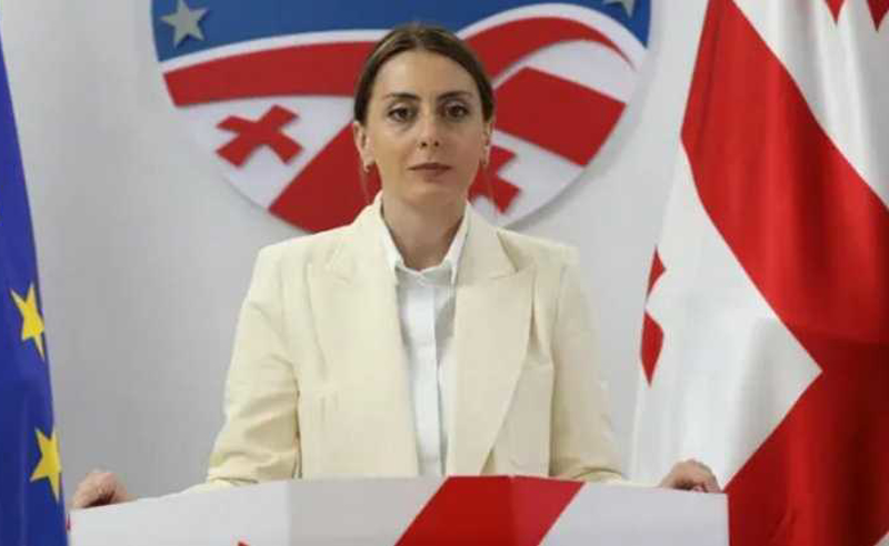 ალიევს იმიტომ არ შეახვედრეს, რომ პრეზიდენტმა ხშირად დააფიქსირა განსხვავებული პოლიტიკური აზრი - ხატია დეკანოიძე