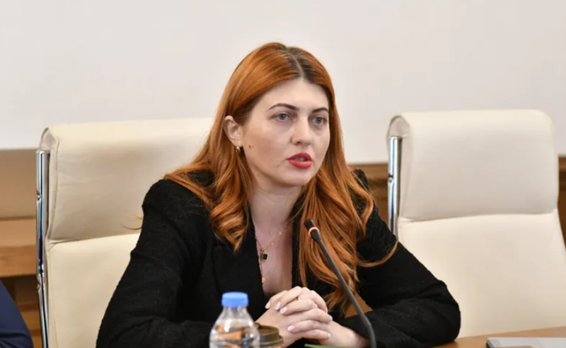 სახალხო დამცველის მეტ აპოლიტიკურობას ვისურვებდი - მარიკა არევაძე