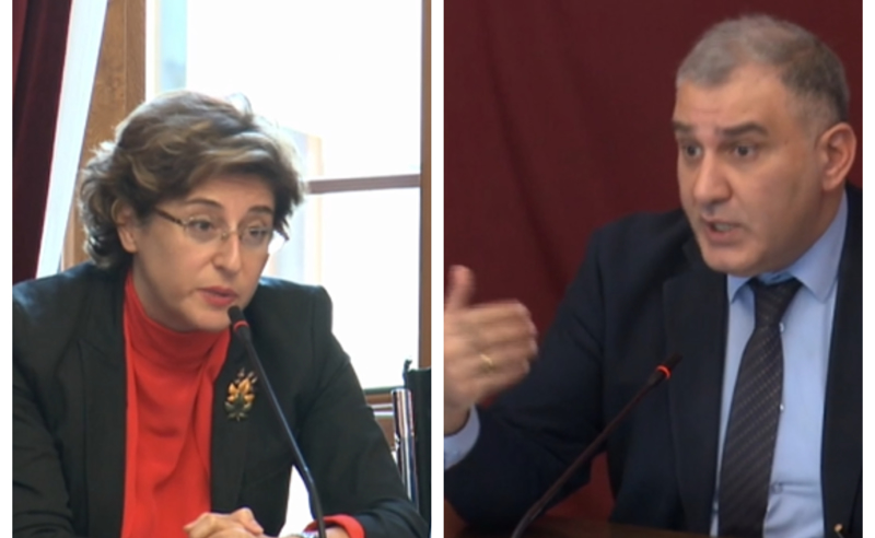 "ხელს ნუ ურტყამთ ბატონო მიხეილ, სკოლაში არ ხართ..." - სამნიძე სარჯველაძის დაპირისპირება