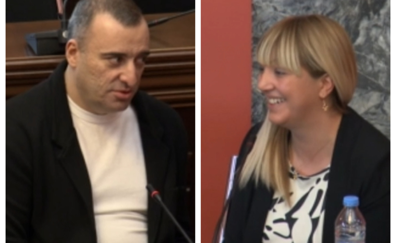 "თქვენ საქართველოს უწოდეთ ფსიქიატრიული სახელმწიფო" - იონათამიშვილი სახალხო დამცველის კანდიდატს