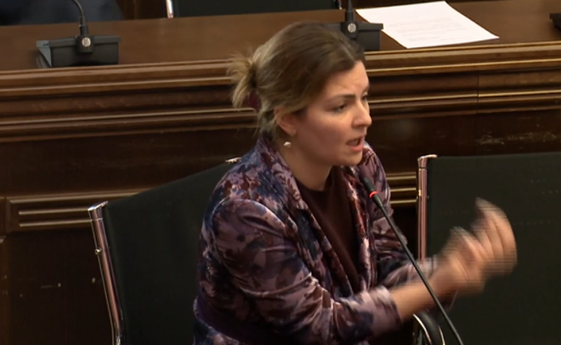 "სახალხო დამცველს პოლიტიკური შეხედულება არ უნდა ჰქონდეს? მკვდარია ე.ი, ის" - ნაცვლიშვილი