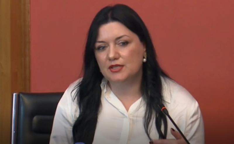 საქართველოში მედია არ იდევნება და გამოხატვის თავისუფლება პრობლემატური არ არის - სახალხო დამცველის კანდიდატი