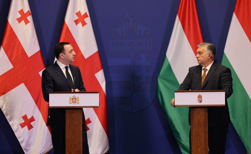 ღარიბაშვილის მთავარი გზავნილი იდენტურია უნგრეთის ხელისუფლების პრორუსული დამოკიდებულების - ხატია დეკანოიძე