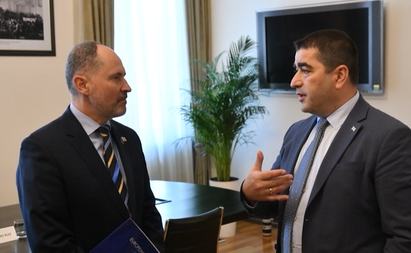 როგორ სრულდება ევროკავშირის რეკომენდაციები - ევროკავშირის ელჩი პარლამენტის თავმჯდომარეს შეხვდა