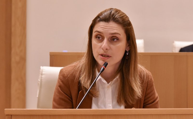 თეონა აქუბარდიამ ,,სტრატეგია აღმაშენებელი" დატოვა