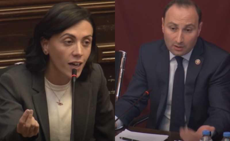 დაამშვიდეთ ახლა, ან ვალერიანი დაალევინეთ - წითლიძე ოხანაშვილს