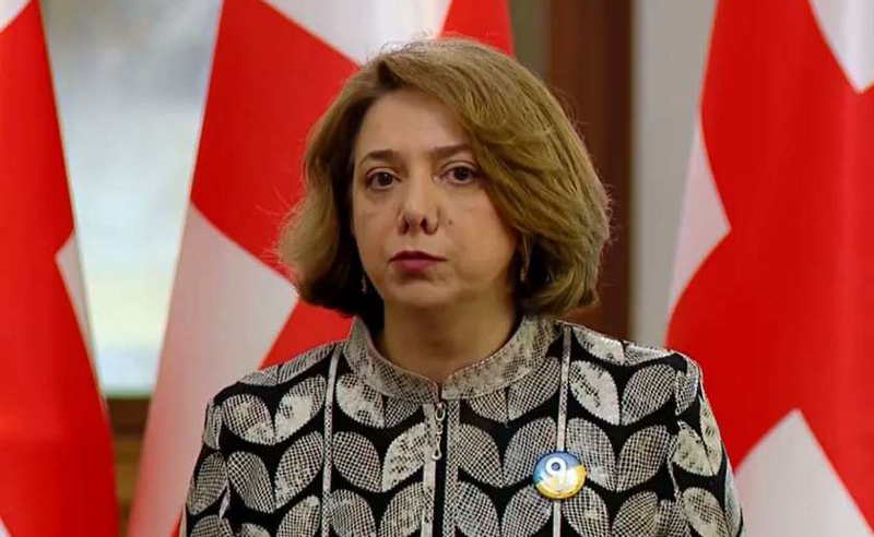 წულუკიანს პასუხს ევროკავშირი გასცემს - სამადაშვილი 