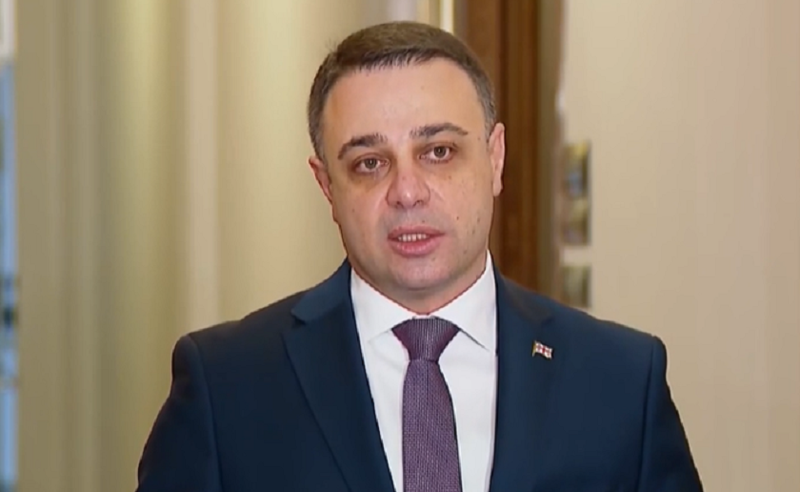 გვარამიას შეწყალებაზე პრეზიდენტი უნდა დაფიქრდეს - "ოცნება" ზურაბიშვილს აფრთხილებს 