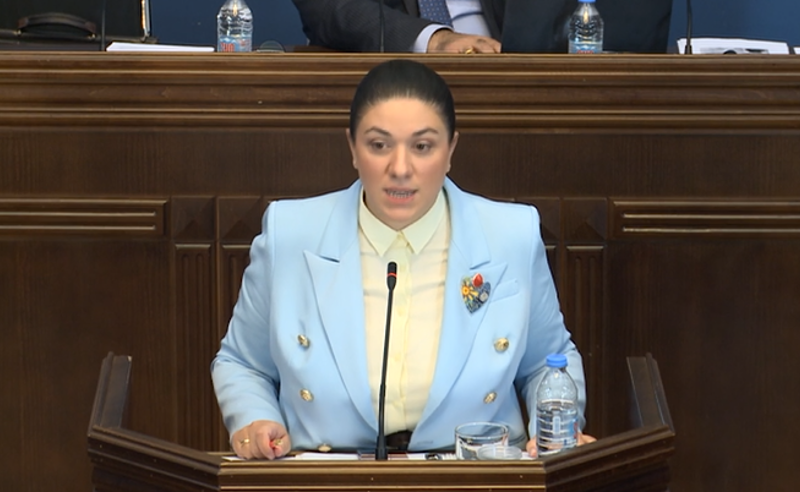 სამოქალაქო სექტორზე პოლიტიკური პლატფორმებიდან თავდასხმა, კატეგორიულად მიუღებელია - ომბუდცმენობის კანდიდატი