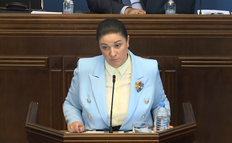 იმედი მაქვს, რომ პრეზიდენტი გვარამიას შეიწყალებს - სახალხო დამცველის კანდიდატი