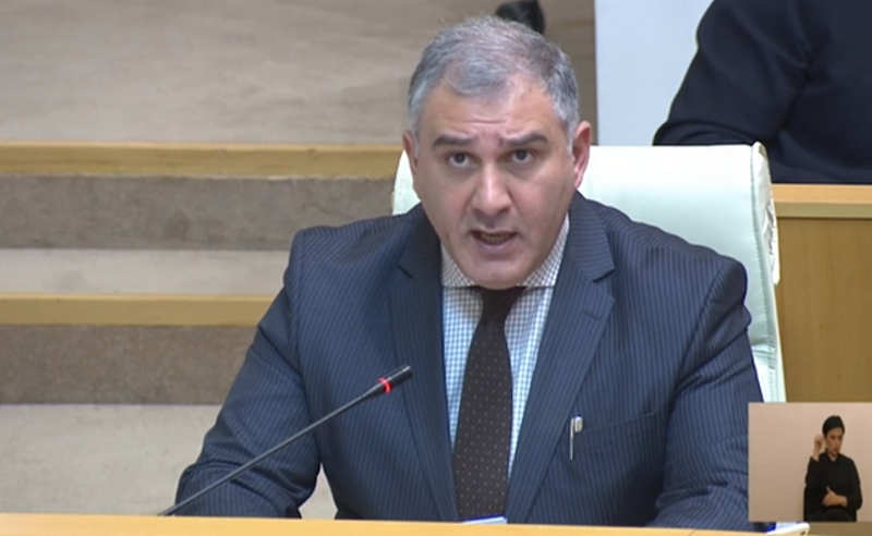 ოლიგარქების სილუეტები ოპოზიციაშია, ივანიშვილს ქველმოქმედებით აქვს მოპოვებული ვეებერთელა რეპუტაცია - სარჯველაძე
