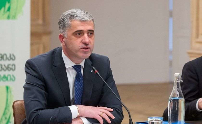 "ჩვენს ქვეყანაში ასეთი რამე არ ხდება" - გარემოს დაცვის მინისტრი ივანიშვილის მიერ აბასთუმნის მიწების მიტაცებაზე