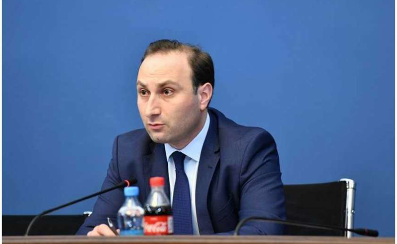 აიძულებენ, გინდა თუ არა, მოწამლული ხარო - ოხანაშვილი სააკაშვილზე