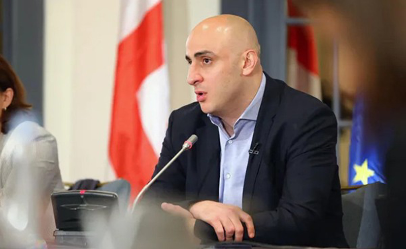 "შეუიარაღებელი თვალითაც ჩანს კულუარული გავლენების კვალი" - ნიკა მელია