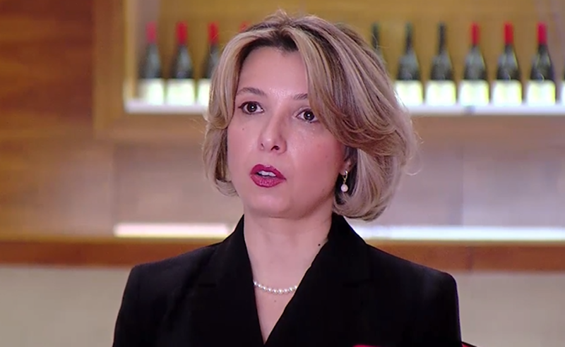 ჯაფარიძის ცოლის სამინისტროდან გათავისუფლების ფაქტზე შეიძლება, დისკრიმინაციული მოტივები დადგინდეს - ლომჯარია