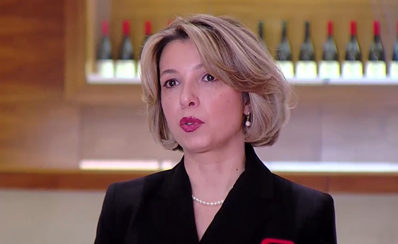 ევროკავშირის ფანჯარა გახსნილია, ხელისუფლებას ვურჩევდი, ნუ დააზიანებენ ქვეყნის ინტერესებს - ლომჯარია