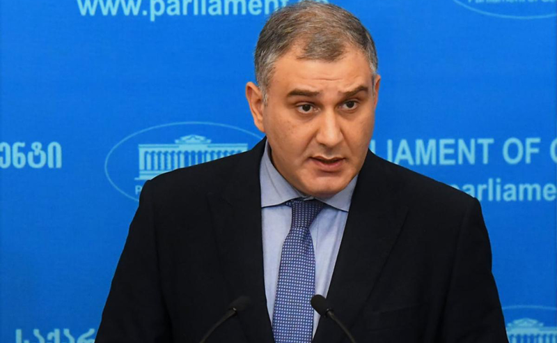 როგორც არ უნდა დასრულდეს არჩევნები ენმ-ში, პარტიის მარცხი გარდაუვალია  - სარჯველაძე 