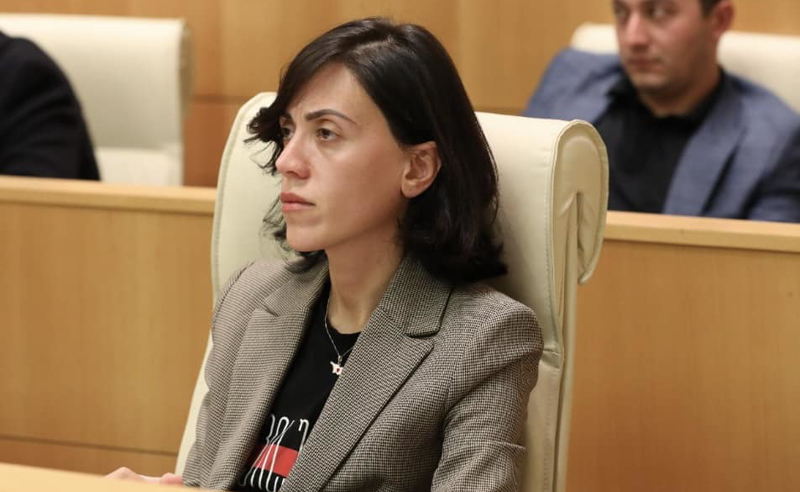 პრემიერმა და ,,ოცნებამ" მოღალატეობრივი პოზიციის გამო ქვეყანას ბოდიში უნდა მოუხადონ - ანი წითლიძე