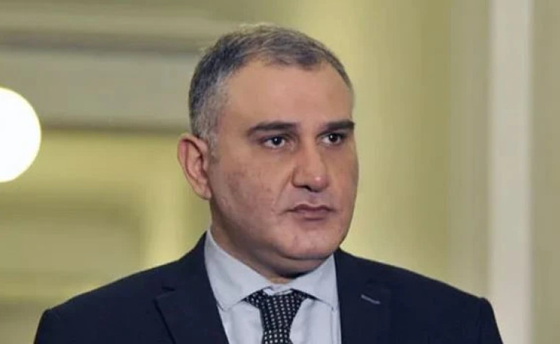 საქართველომ უკრაინას შთმაბეჭდავი მასშტაბის დახმარება გაუწია - სარჯველაძე