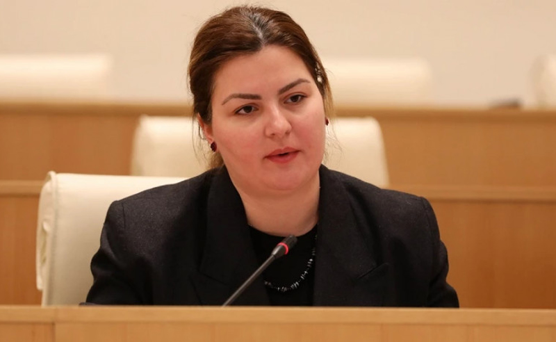 არ გამიკვირდება, "ოცნებამ" უკრაინაში მებრძოლი ქართველების წინააღმდეგ საქმეები აღძრას - ნაცვლიშვილი