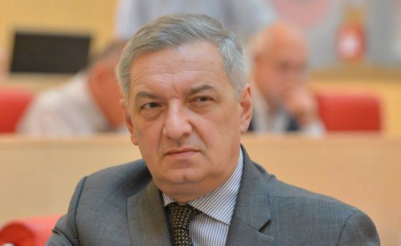 ღარიბაშვილით რუსული პრესა აჭრელდა - ვოლსკი ამაშიც "ოპოზიციის ხელწერას" ხედავს